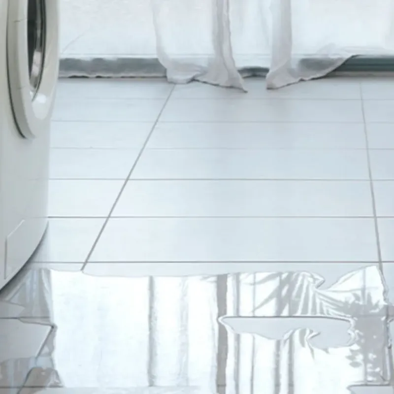 Appliance Leak Cleanup in Marseilles, IL