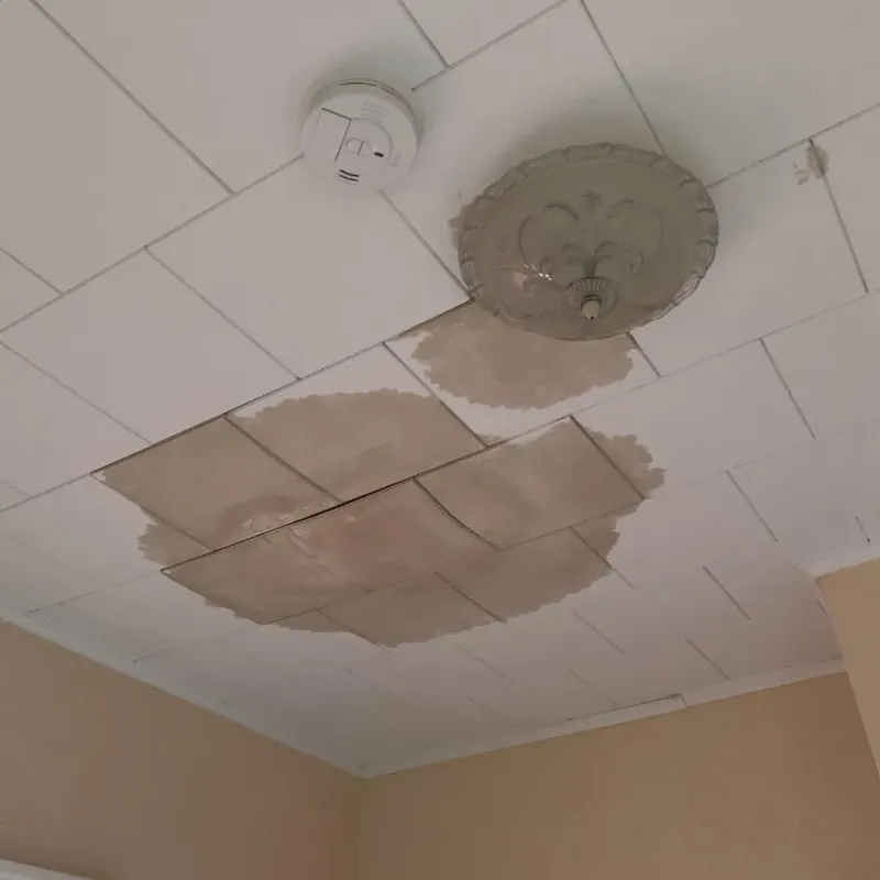 Ceiling Water Damage Repair in Marseilles, IL