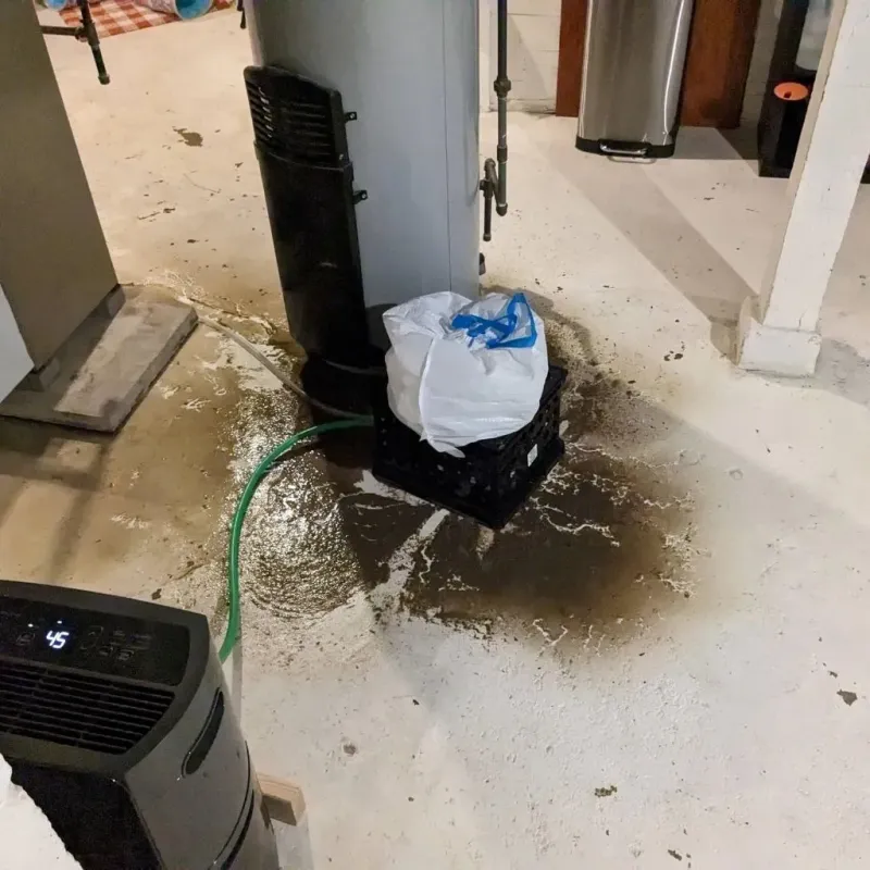 Sewage Backup Cleanup Service in Marseilles, IL